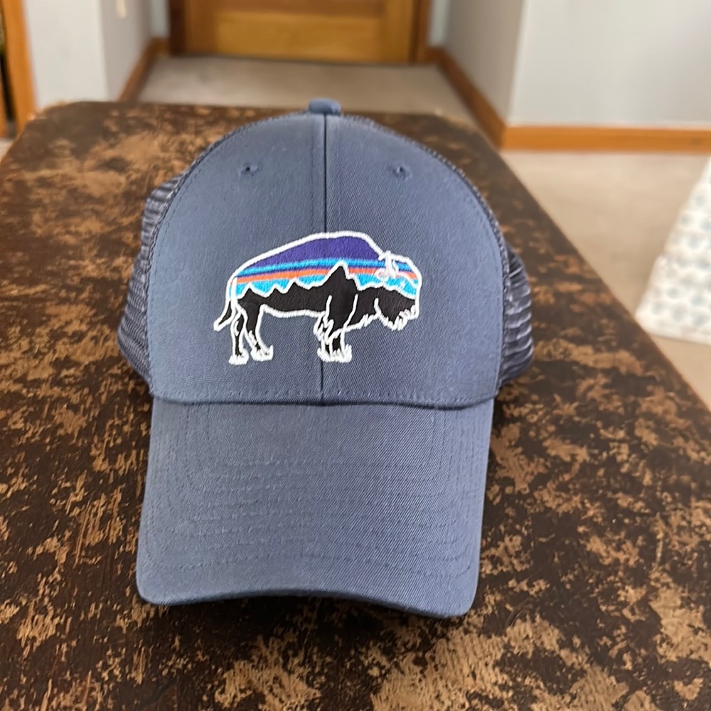 Patagonia Trucker Hat